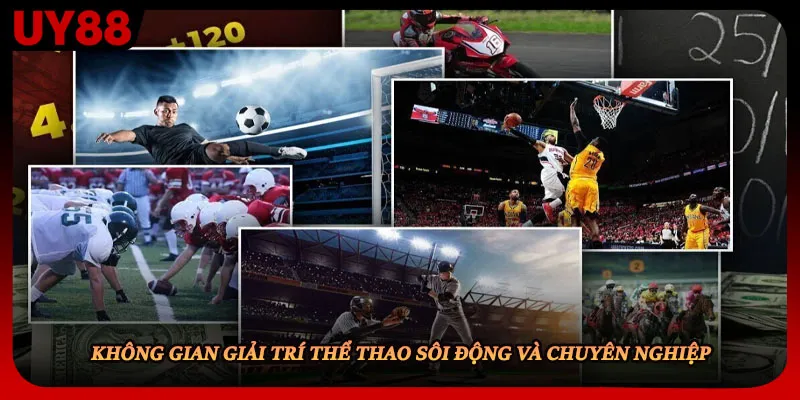 Không gian giải trí thể thao sôi động và chuyên nghiệp