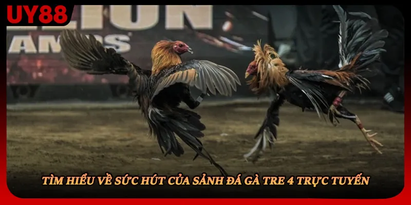 Tìm hiểu về sức hút của sảnh đá gà tre 4 trực tuyến