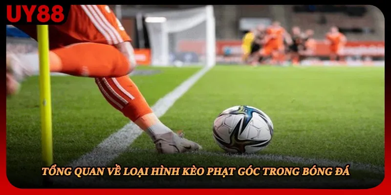 Tổng quan về loại hình kèo phạt góc trong bóng đá